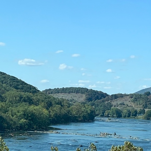 Meet your Posher, Esther - Picture 1 of 1